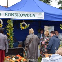 Zobacz w powiększeniu: Dożynki Powiatowe Baranów 2021 (31)